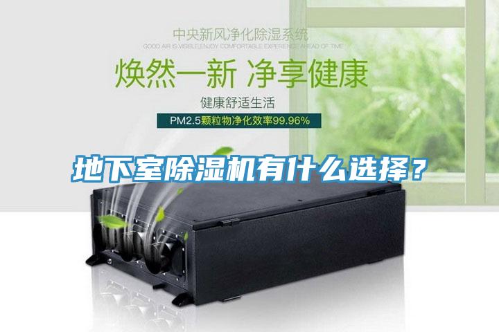 地下室除濕機(jī)有什么選擇？