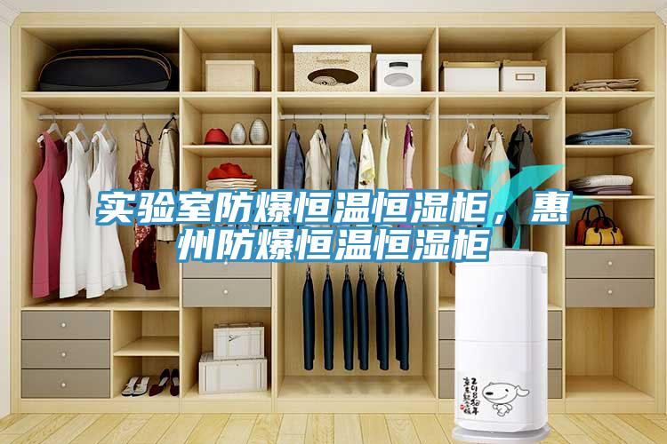 實驗室防爆恒溫恒濕柜，惠州防爆恒溫恒濕柜