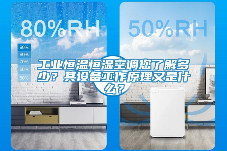 工業(yè)恒溫恒濕空調(diào)您了解多少？其設(shè)備工作原理又是什么？