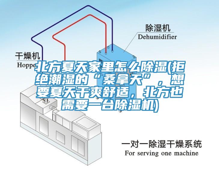 北方夏天家里怎么除濕(拒絕潮濕的“桑拿天”，想要夏天干爽舒適，北方也需要一臺除濕機(jī))