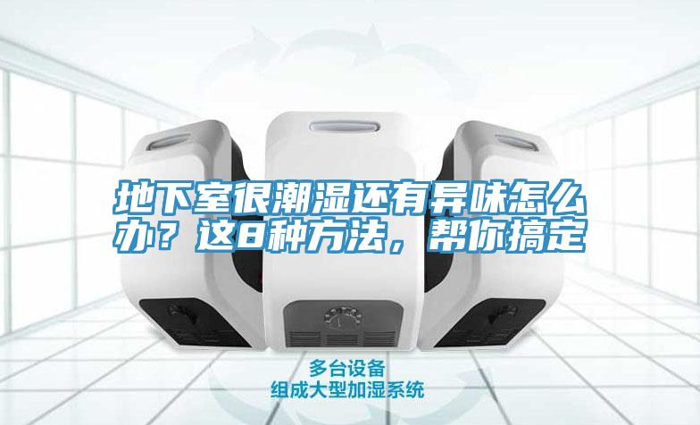 地下室很潮濕還有異味怎么辦？這8種方法，幫你搞定