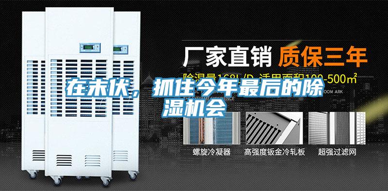 在末伏，抓住今年最后的除濕機會