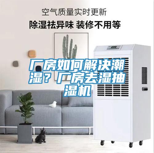 廠房如何解決潮濕？廠房去濕抽濕機