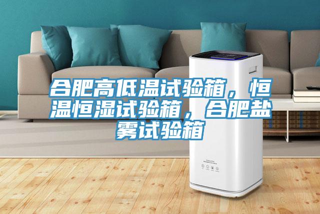 合肥高低溫試驗箱，恒溫恒濕試驗箱，合肥鹽霧試驗箱