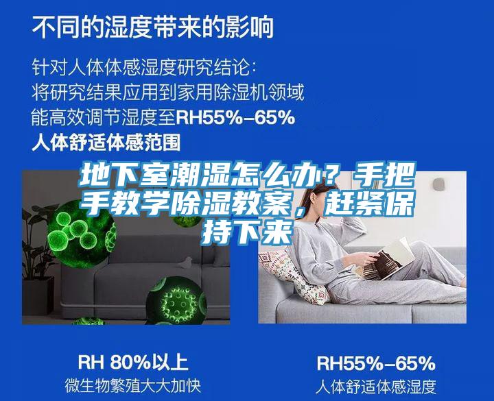 地下室潮濕怎么辦？手把手教學除濕教案，趕緊保持下來