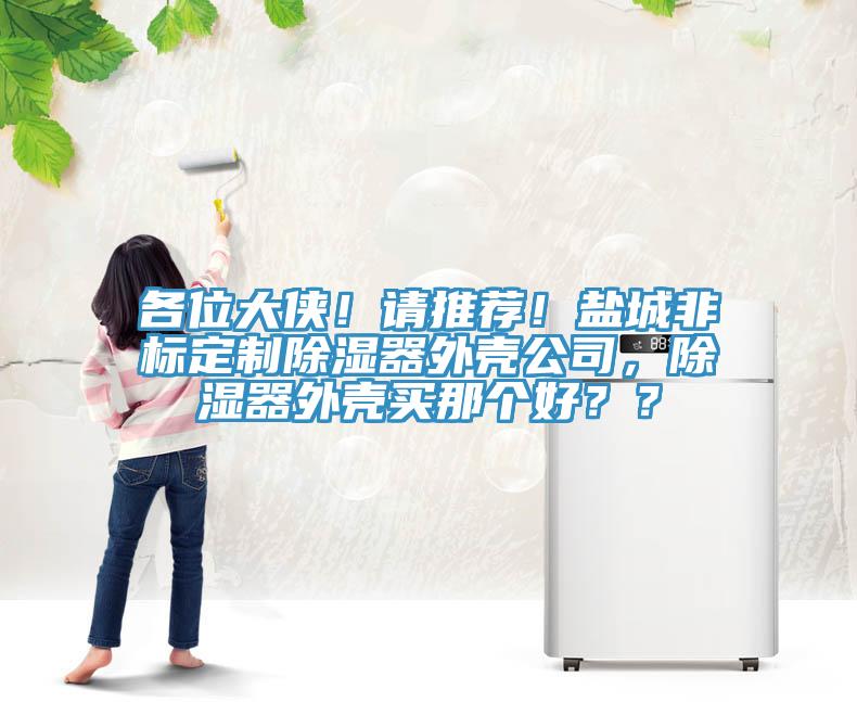各位大俠！請(qǐng)推薦！鹽城非標(biāo)定制除濕器外殼公司，除濕器外殼買那個(gè)好？？