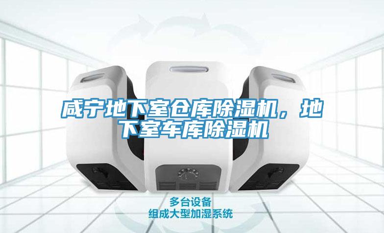 咸寧地下室倉(cāng)庫(kù)除濕機(jī)，地下室車庫(kù)除濕機(jī)