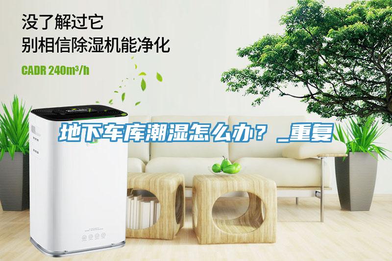 地下車(chē)庫(kù)潮濕怎么辦？_重復(fù)