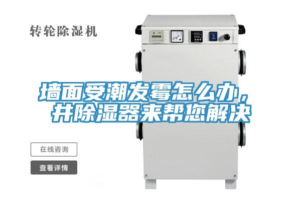 墻面受潮發(fā)霉怎么辦，東井除濕器來(lái)幫您解決