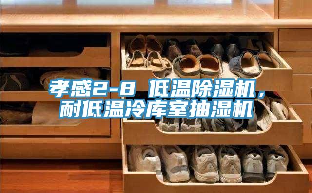 孝感2-8℃低溫除濕機，耐低溫冷庫室抽濕機