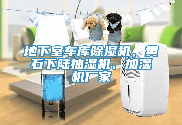 地下室車庫除濕機(jī)，黃石下陸抽濕機(jī)、加濕機(jī)廠家