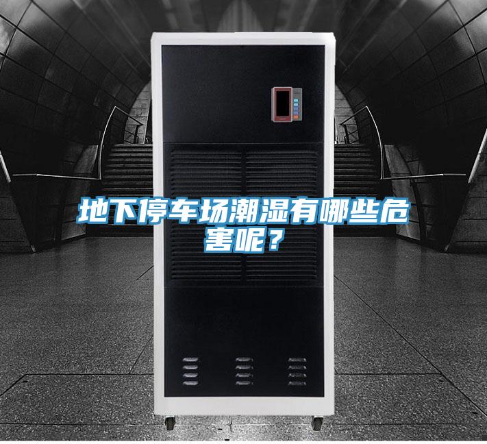 地下停車場(chǎng)潮濕有哪些危害呢？