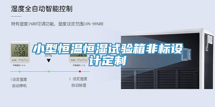 小型恒溫恒濕試驗(yàn)箱非標(biāo)設(shè)計定制