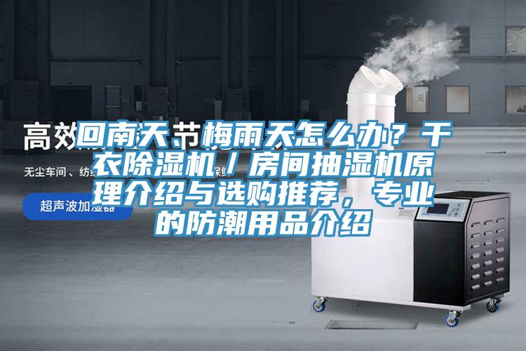回南天、梅雨天怎么辦？干衣除濕機(jī)／房間抽濕機(jī)原理介紹與選購?fù)扑]，專業(yè)的防潮用品介紹