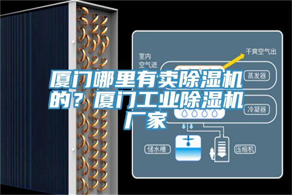 廈門哪里有賣除濕機(jī)的？廈門工業(yè)除濕機(jī)廠家