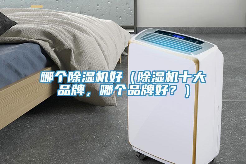 哪個除濕機好（除濕機十大品牌，哪個品牌好？）