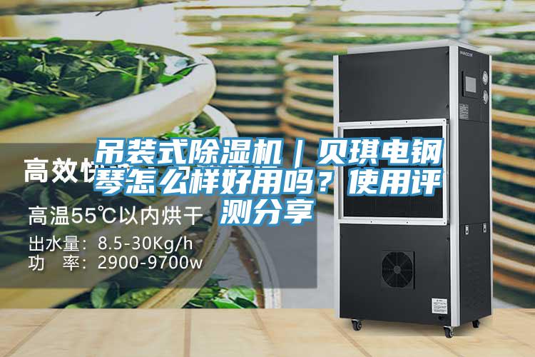 吊裝式除濕機｜貝琪電鋼琴怎么樣好用嗎？使用評測分享