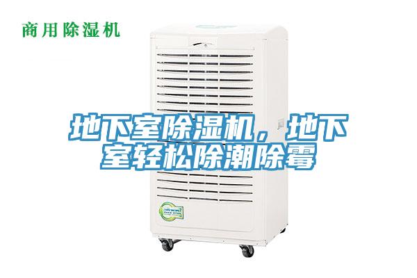 地下室除濕機(jī)，地下室輕松除潮除霉