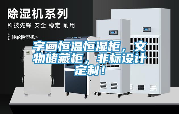字畫恒溫恒濕柜，文物儲藏柜，非標(biāo)設(shè)計(jì)定制！