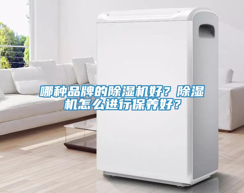 哪種品牌的除濕機好？除濕機怎么進行保養(yǎng)好？
