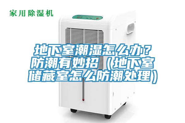 地下室潮濕怎么辦？防潮有妙招（地下室儲藏室怎么防潮處理）
