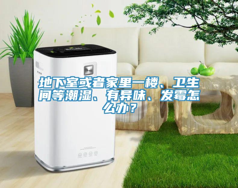 地下室或者家里一樓、衛(wèi)生間等潮濕、有異味、發(fā)霉怎么辦？