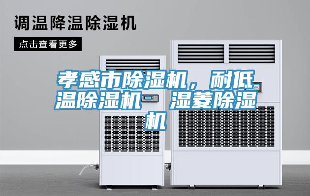 孝感市除濕機，耐低溫除濕機  濕菱除濕機