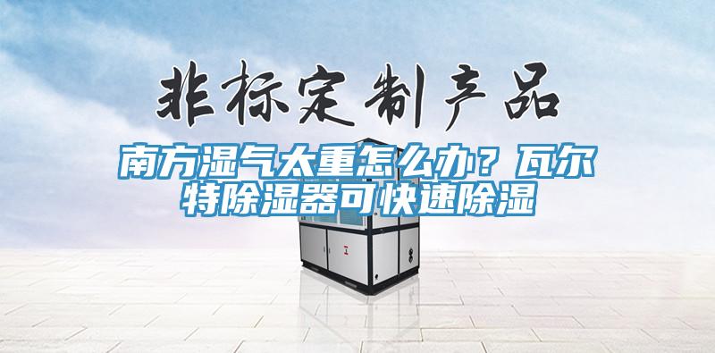 南方濕氣太重怎么辦？瓦爾特除濕器可快速除濕