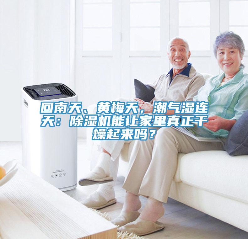 回南天、黃梅天，潮氣濕連天：除濕機(jī)能讓家里真正干燥起來嗎？