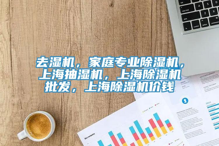去濕機，家庭專業(yè)除濕機，上海抽濕機，上海除濕機批發(fā)，上海除濕機價錢