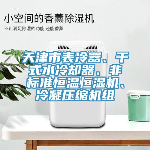 天津市表冷器、干式水冷卻器、非標(biāo)準(zhǔn)恒溫恒濕機(jī)、冷凝壓縮機(jī)組