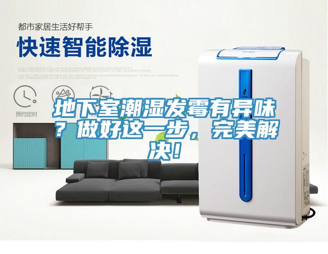 地下室潮濕發(fā)霉有異味？做好這一步，完美解決！