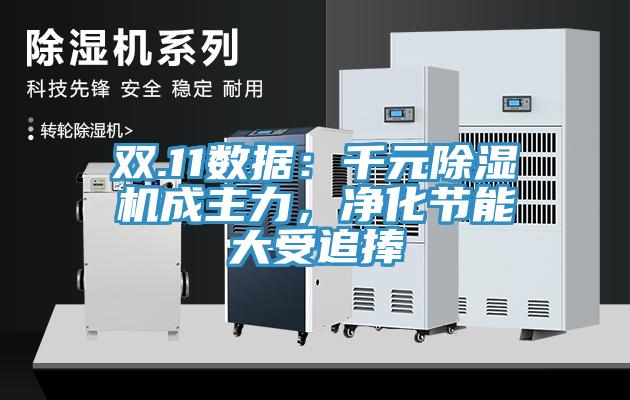 雙.11數(shù)據(jù)：千元除濕機成主力，凈化節(jié)能大受追捧