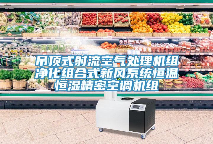 吊頂式射流空氣處理機組凈化組合式新風(fēng)系統(tǒng)恒溫恒濕精密空調(diào)機組