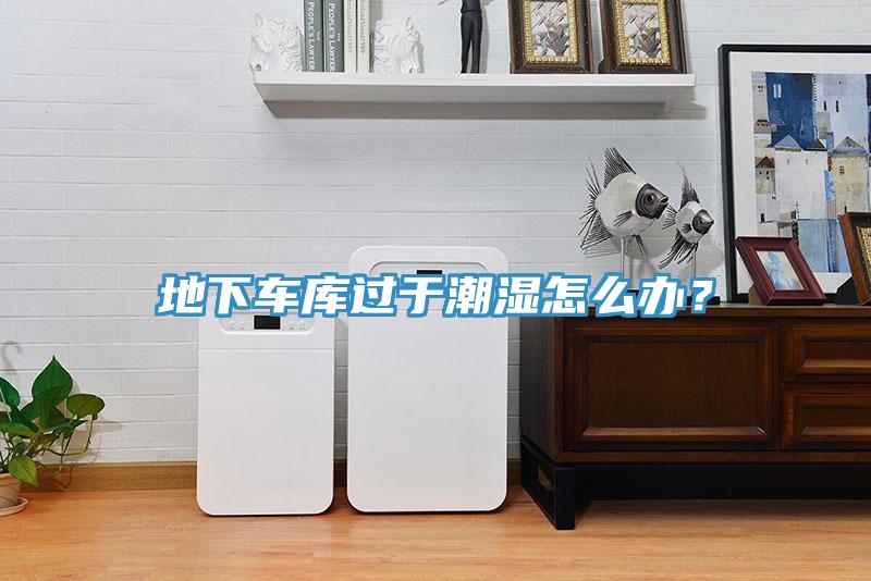 地下車(chē)庫(kù)過(guò)于潮濕怎么辦？