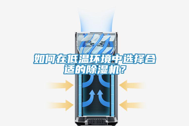 如何在低溫環(huán)境中選擇合適的除濕機(jī)？