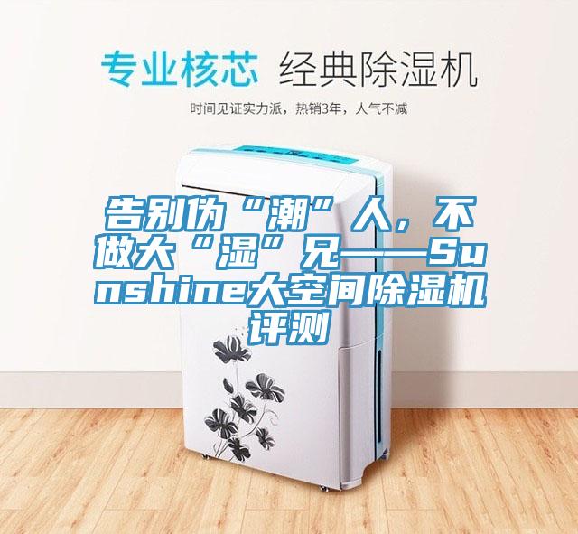告別偽“潮”人，不做大“濕”兄——Sunshine大空間除濕機(jī)評(píng)測(cè)
