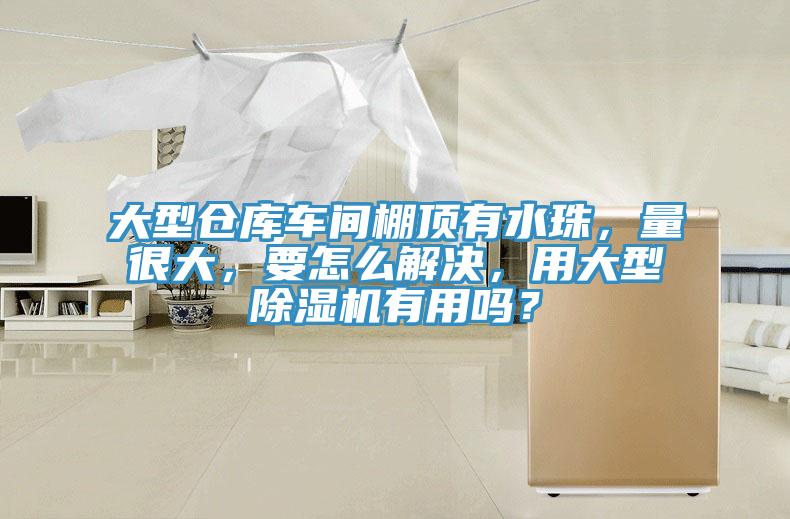 大型倉庫車間棚頂有水珠，量很大，要怎么解決，用大型除濕機有用嗎？