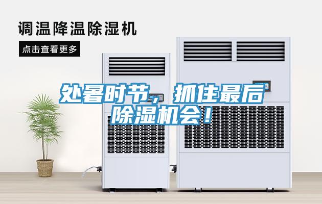 處暑時(shí)節(jié)，抓住最后除濕機(jī)會(huì)！
