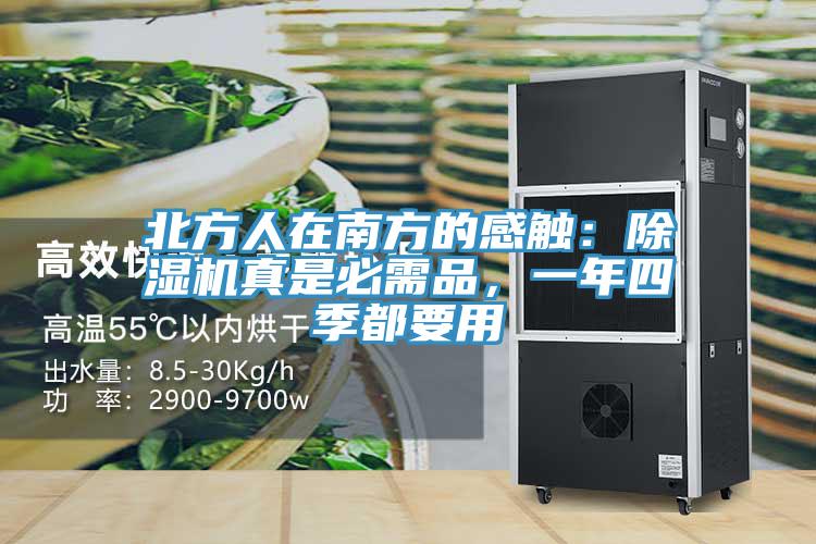 北方人在南方的感觸：除濕機(jī)真是必需品，一年四季都要用