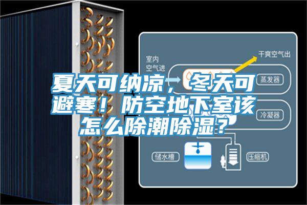 夏天可納涼，冬天可避寒！防空地下室該怎么除潮除濕？