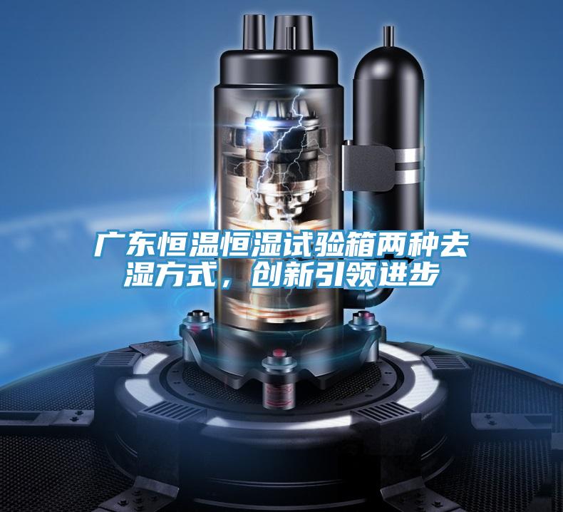 廣東恒溫恒濕試驗(yàn)箱兩種去濕方式，創(chuàng)新引領(lǐng)進(jìn)步