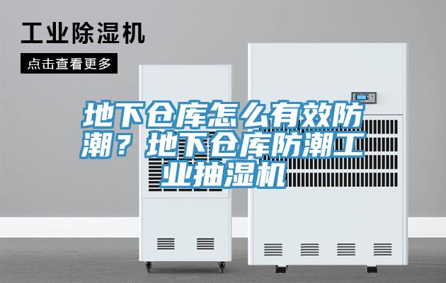 地下倉庫怎么有效防潮？地下倉庫防潮工業(yè)抽濕機(jī)