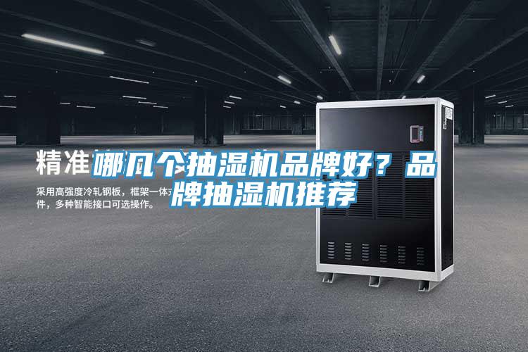 哪幾個抽濕機品牌好？品牌抽濕機推薦