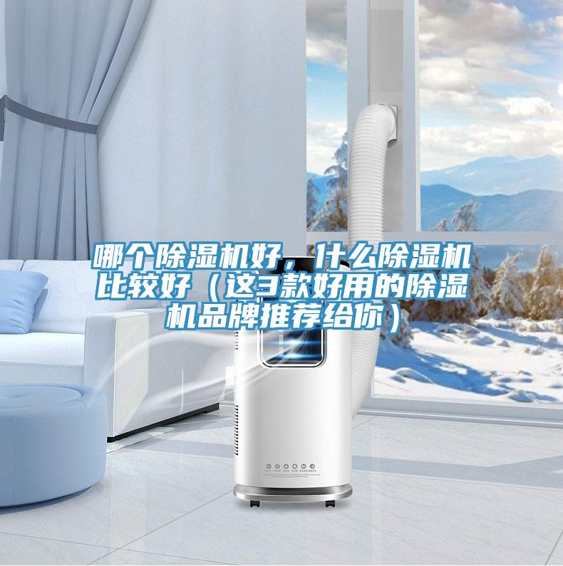 哪個除濕機好，什么除濕機比較好（這3款好用的除濕機品牌推薦給你）