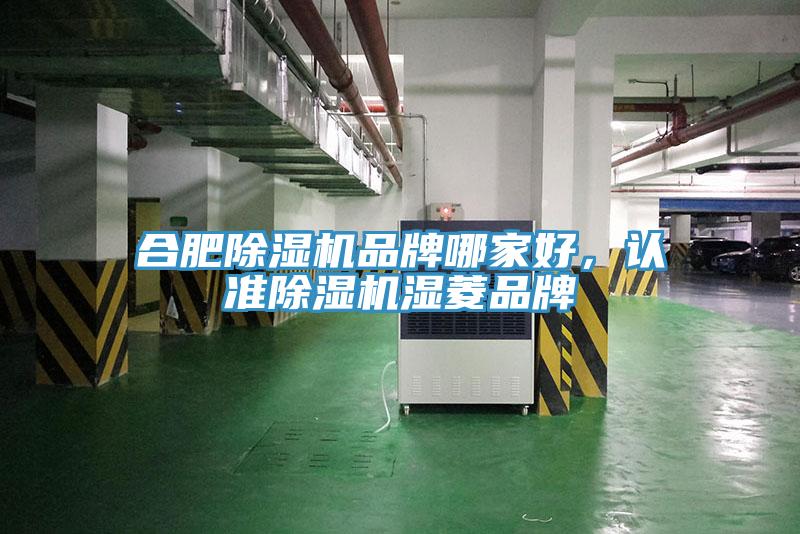 合肥除濕機(jī)品牌哪家好，認(rèn)準(zhǔn)除濕機(jī)濕菱品牌