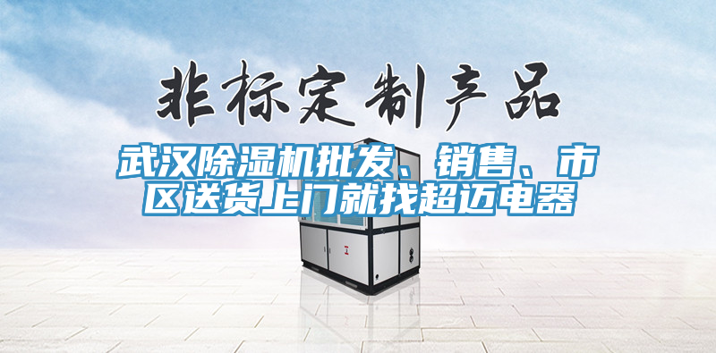 武漢除濕機(jī)批發(fā)、銷售、市區(qū)送貨上門就找超邁電器