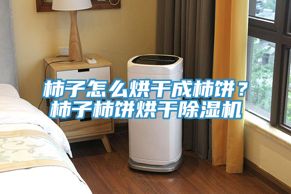 柿子怎么烘干成柿餅？柿子柿餅烘干除濕機(jī)