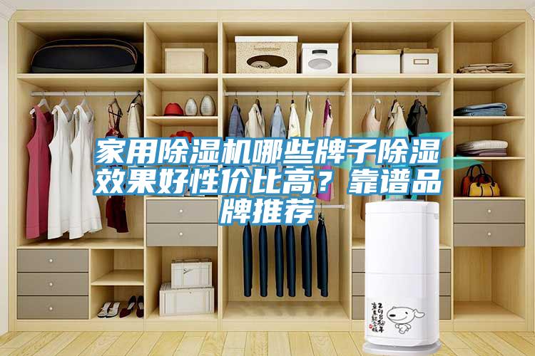 家用除濕機哪些牌子除濕效果好性價比高？靠譜品牌推薦