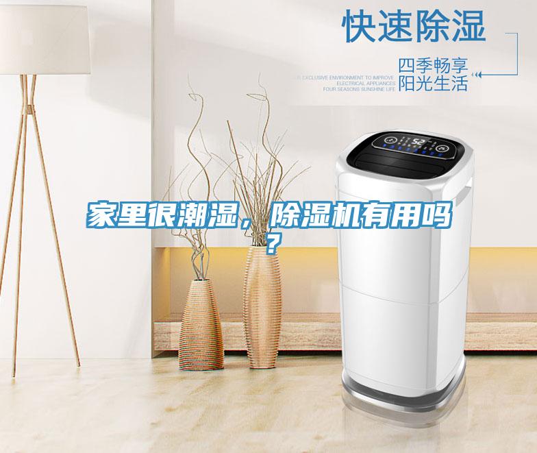 家里很潮濕，除濕機(jī)有用嗎？